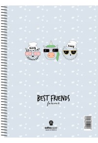 ΤΕΤΡΑΔΙΟ ΣΠΙΡΑΛ BEST FRIENDS 21X29 240 ΣΕΛΙΔΕΣ 4 ΘΕΜΑΤΑ ΣΕ 4 ΣΧΕΔΙΑ  5202832064594